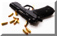 Become a liscensed firearm dealer